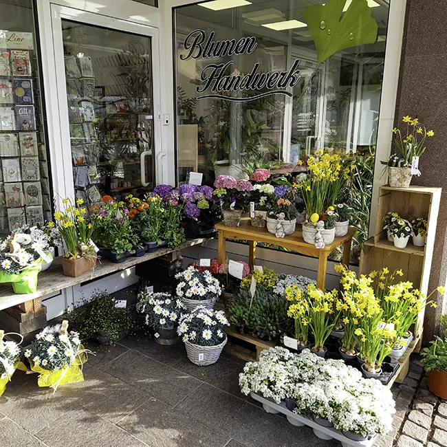 Außenansicht des Blumenladens mit unterschiedlichen Pflanzen und Blumen